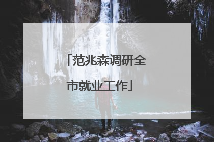 范兆森调研全市就业工作