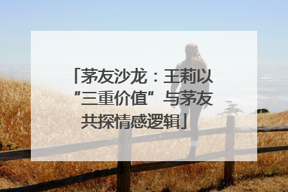 茅友沙龙：王莉以“三重价值”与茅友共探情感逻辑