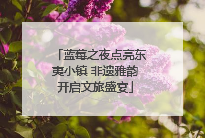 蓝莓之夜点亮东夷小镇 非遗雅韵开启文旅盛宴