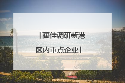 蔺佳调研新港区内重点企业