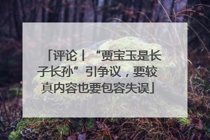 评论丨“贾宝玉是长子长孙”引争议，要较真内容也要包容失误