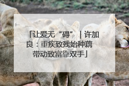 让爱无“碍”｜许加良：重疾致残始种藕 带动致富靠双手