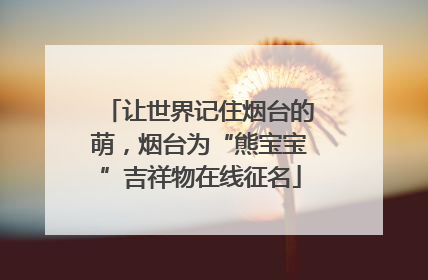 让世界记住烟台的萌，烟台为“熊宝宝”吉祥物在线征名