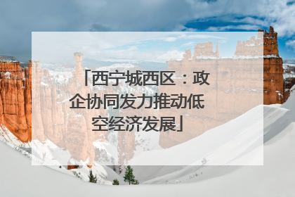 西宁城西区：政企协同发力推动低空经济发展