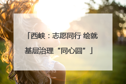 西峡：志愿同行 绘就基层治理“同心圆”