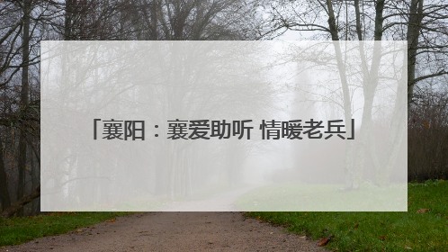 襄阳：襄爱助听 情暖老兵