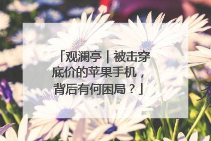 观澜亭｜被击穿底价的苹果手机，背后有何困局？