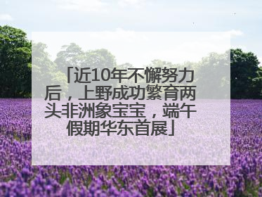 近10年不懈努力后，上野成功繁育两头非洲象宝宝，端午假期华东首展