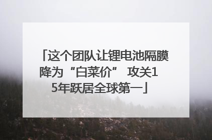 这个团队让锂电池隔膜降为“白菜价” 攻关15年跃居全球第一