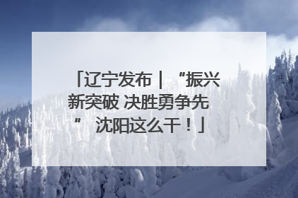 辽宁发布｜“振兴新突破 决胜勇争先” 沈阳这么干！