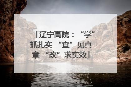 辽宁高院：“学”抓扎实 “查”见真章 “改”求实效