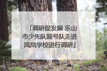调研促发展 乐山市少先队鼓号队走进凤凰学校进行调研