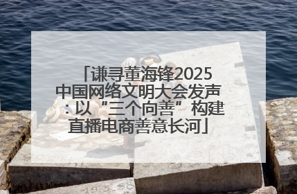 谦寻董海锋2025中国网络文明大会发声：以“三个向善”构建直播电商善意长河