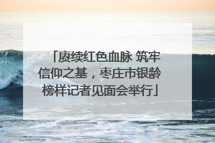 赓续红色血脉 筑牢信仰之基，枣庄市银龄榜样记者见面会举行