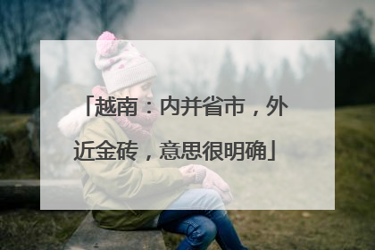 越南：内并省市，外近金砖，意思很明确