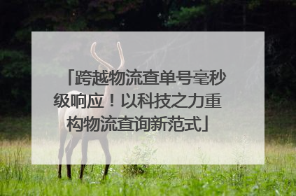跨越物流查单号毫秒级响应！以科技之力重构物流查询新范式