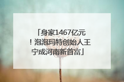 身家1467亿元！泡泡玛特创始人王宁成河南新首富