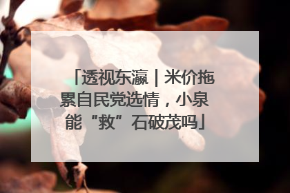 透视东瀛｜米价拖累自民党选情，小泉能“救”石破茂吗
