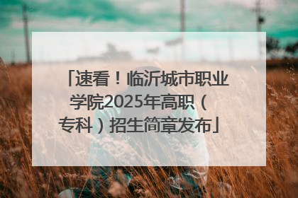 速看！临沂城市职业学院2025年高职（专科）招生简章发布