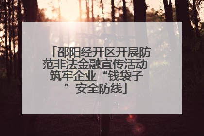 邵阳经开区开展防范非法金融宣传活动 筑牢企业“钱袋子”安全防线