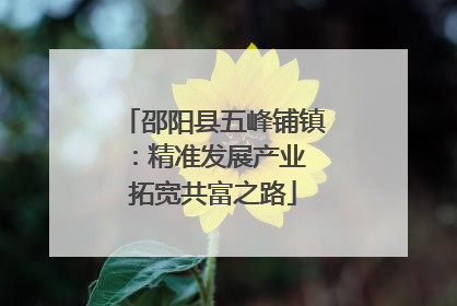 邵阳县五峰铺镇：精准发展产业 拓宽共富之路