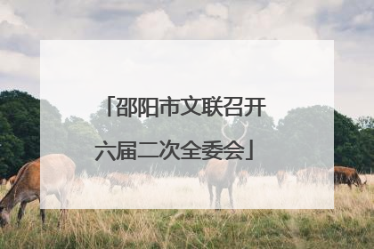 邵阳市文联召开六届二次全委会