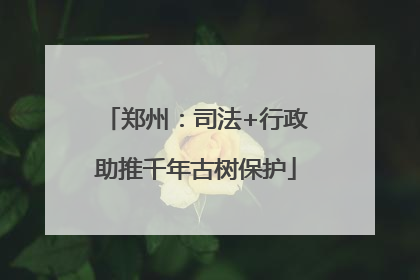 郑州：司法+行政助推千年古树保护