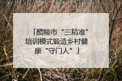 醴陵市“三精准”培训模式锻造乡村健康“守门人”