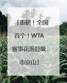 重磅！全国首个！WTA赛事花落县级市京山