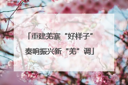 重建羌寨“好样子” 奏响振兴新“羌”调