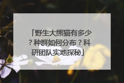 野生大熊猫有多少？种群如何分布？科研团队实地探秘