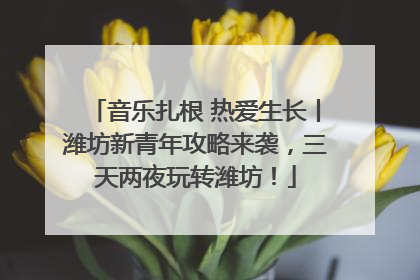 音乐扎根 热爱生长丨潍坊新青年攻略来袭，三天两夜玩转潍坊！
