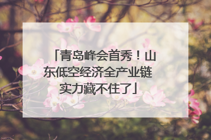 青岛峰会首秀！山东低空经济全产业链实力藏不住了
