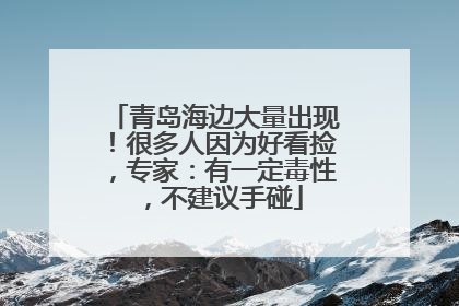 青岛海边大量出现！很多人因为好看捡，专家：有一定毒性，不建议手碰
