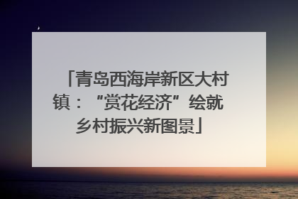 青岛西海岸新区大村镇：“赏花经济”绘就乡村振兴新图景