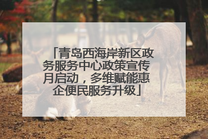 青岛西海岸新区政务服务中心政策宣传月启动，多维赋能惠企便民服务升级