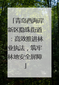 青岛西海岸新区隐珠街道：高效推进林业执法，筑牢林地安全屏障