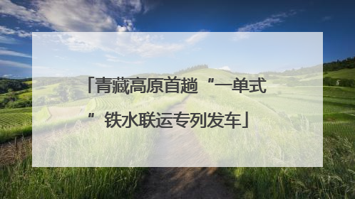 青藏高原首趟“一单式”铁水联运专列发车