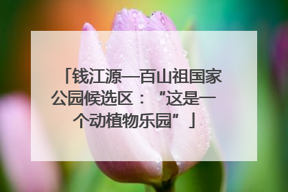 钱江源—百山祖国家公园候选区：“这是一个动植物乐园”