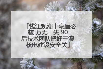 钱江观潮丨毫厘必较 万无一失 90后技术团队把好三澳核电建设安全关