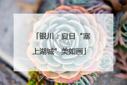 银川：夏日“塞上湖城”美如画