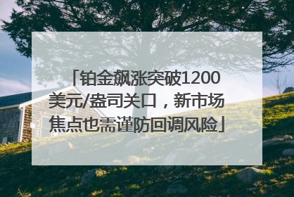 铂金飙涨突破1200美元/盎司关口，新市场焦点也需谨防回调风险