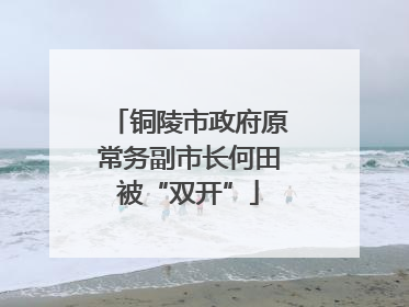 铜陵市政府原常务副市长何田被“双开”