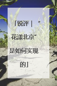 锐评｜“花漾北京”是如何实现的