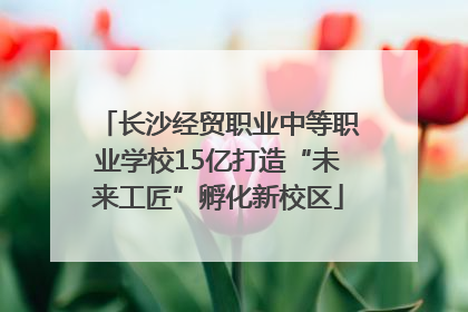 长沙经贸职业中等职业学校15亿打造“未来工匠”孵化新校区