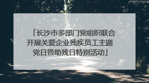 长沙市多部门党组织联合开展关爱企业残疾员工主题党日暨助残日特别活动