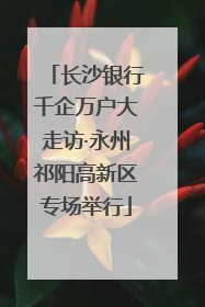 长沙银行千企万户大走访·永州祁阳高新区专场举行