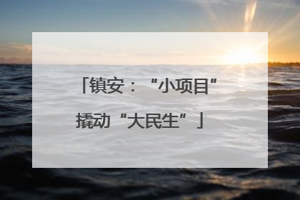 镇安：“小项目”撬动“大民生”