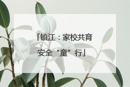 镇江：家校共育 安全“童”行
