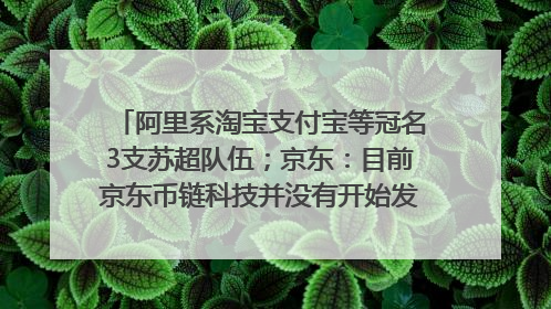 阿里系淘宝支付宝等冠名3支苏超队伍；京东：目前京东币链科技并没有开始发行稳定币｜早资道